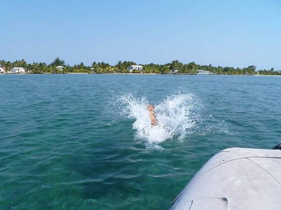 Feliz e obediente, o Chimi se atira na água em direção à terra firme, na grande barreira de corais de Belize